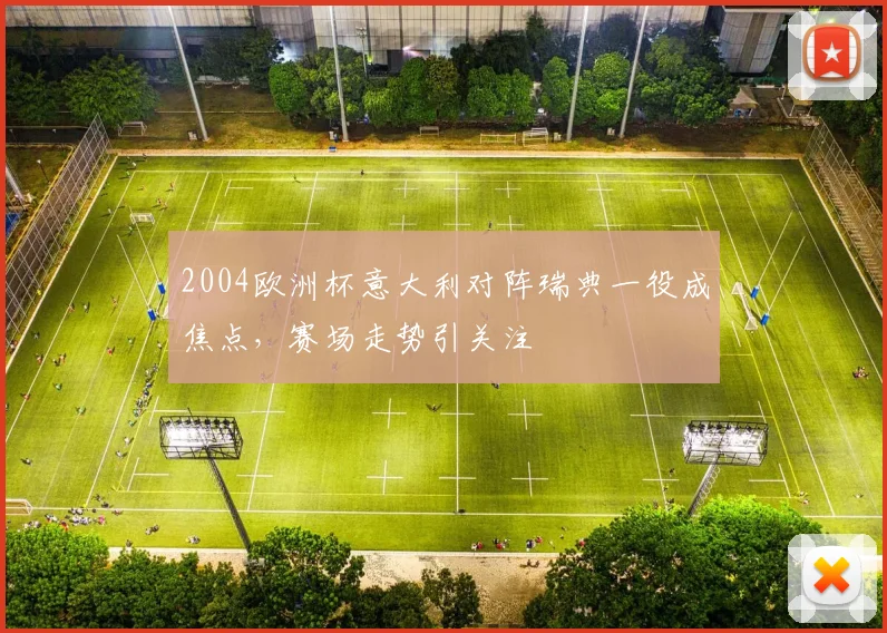 2004欧洲杯意大利对阵瑞典一役成焦点，赛场走势引关注