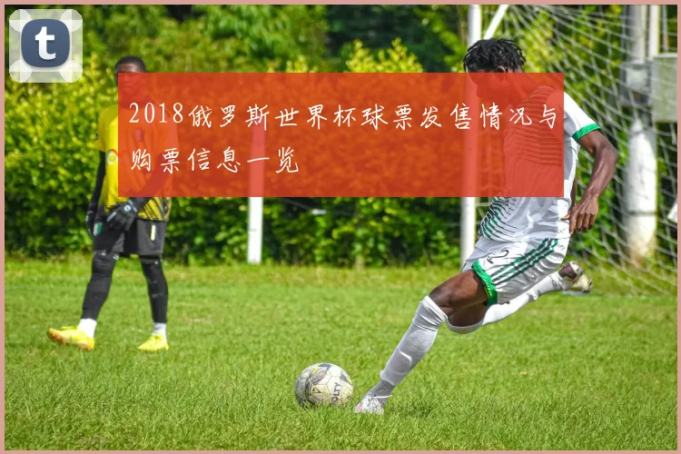 2018俄罗斯世界杯球票发售情况与购票信息一览